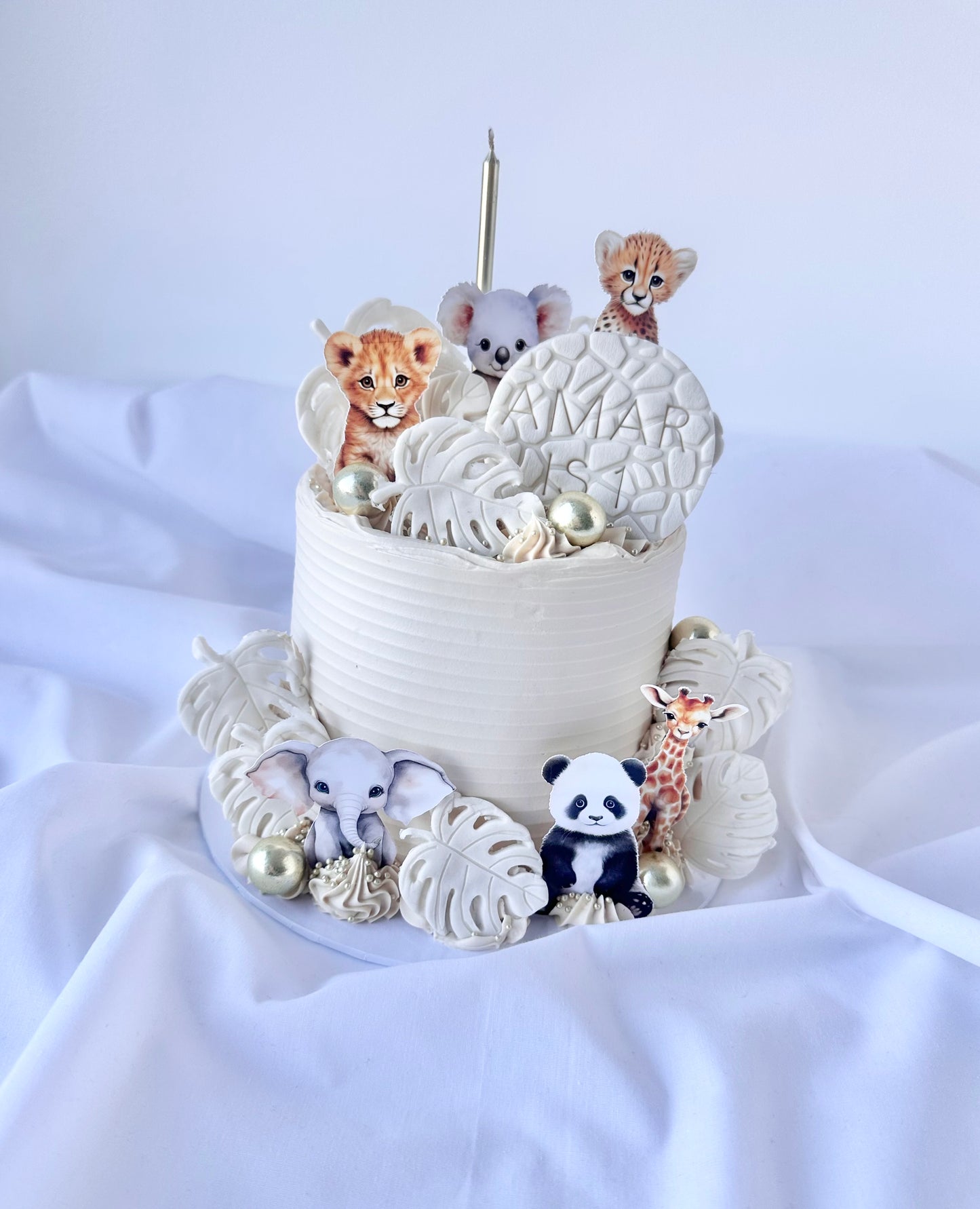 Custom Didi cake (with theme)