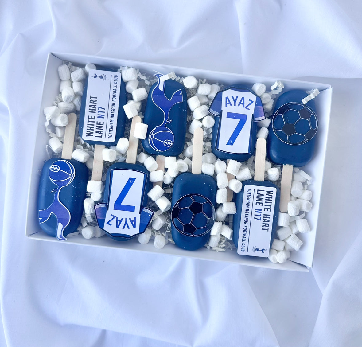 Themed cakesicle box